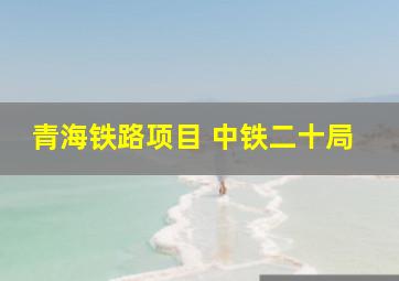 青海铁路项目 中铁二十局